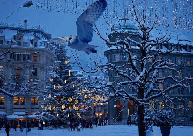 Handsignierter Orginal Print des Bieler Fotografen Stöh Grünig Grösse ca. 40 X 57 CM Zentralplatz