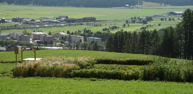 Schaugarten mit Blick Richtung Flugplatz Samedan. 