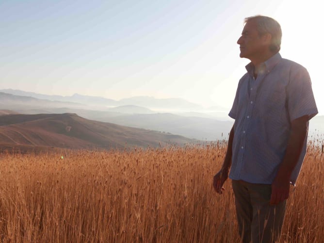 Massimiliano Solano auf seinem Feld mit Timilia-Weizen