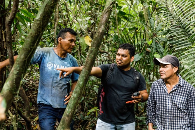 Nous avons trouvé des variétés de cacao natifs