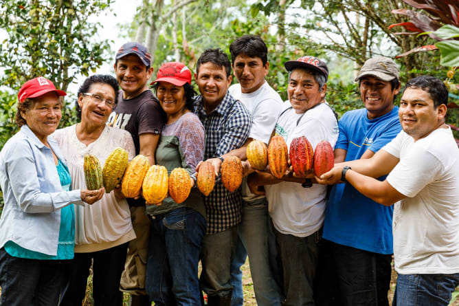 Rebels of the Chocolate Revolution with cacaos Nativos