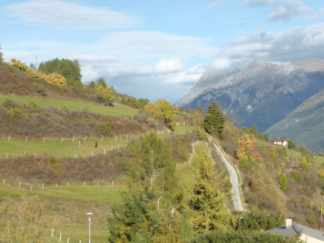 Rössli in uralter Terassenlandschaft