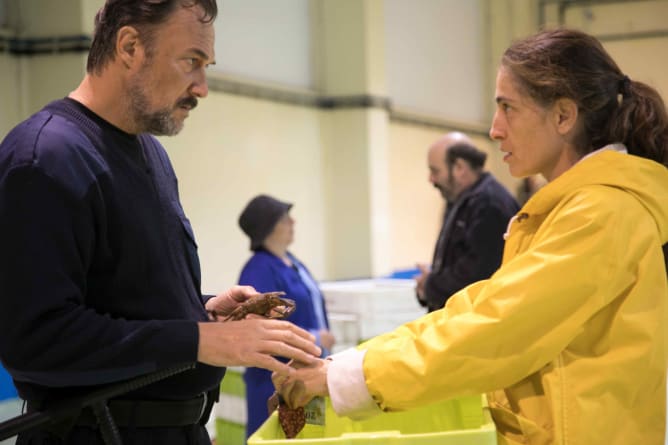 Maria#Raphael#HagarAdmoni#CarlosLeal#fishmarket#connection#Viveiro#Spain