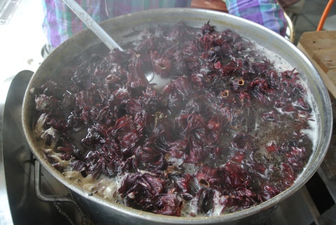 Dragon flowers in the boil