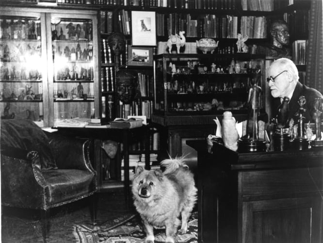 Sigmund Freud in Arbeitszimmer in der Berggasse 19 mit Chow, 1937, (c) Sigmund Freud Privatstiftung