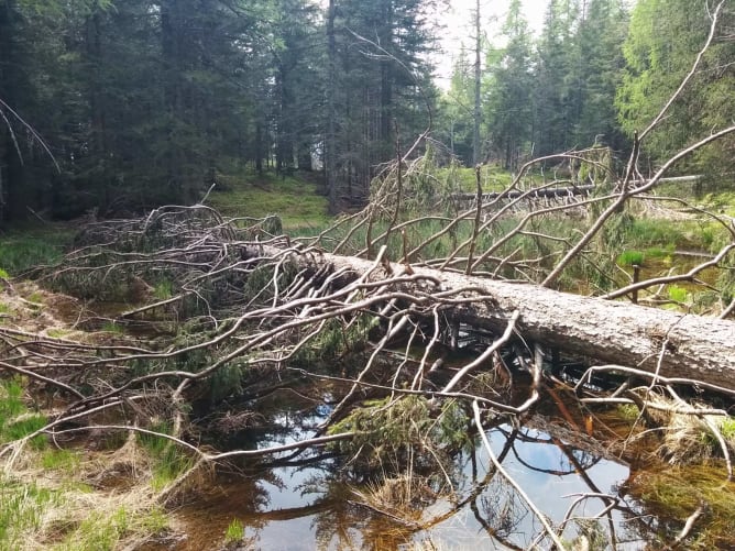 Naturschutzgebiet Lempence