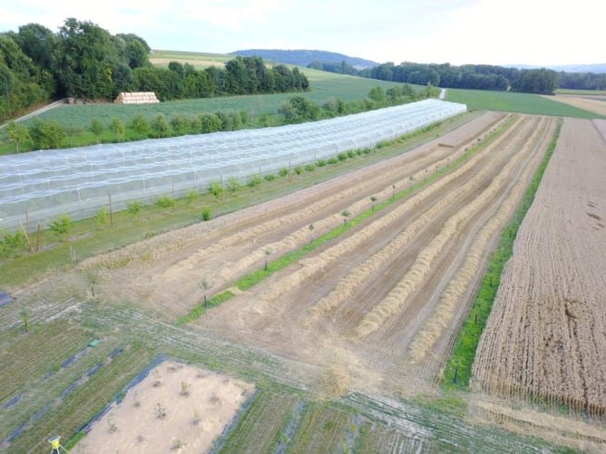 Une partie du verger agroécologique vue du ciel