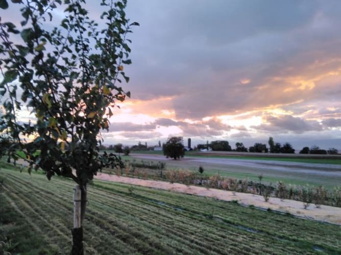 Coucher de soleil au jardin agroforestier