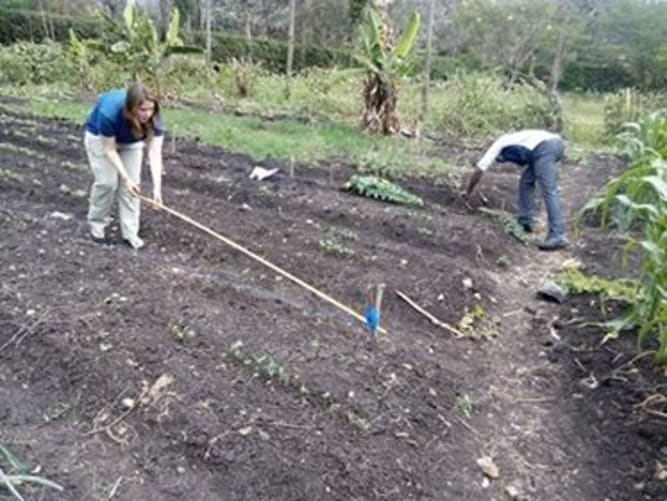 Field trial preparations