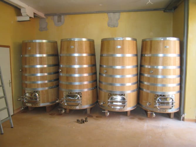 Cuve tronconique Bois (Cuve fermentation)