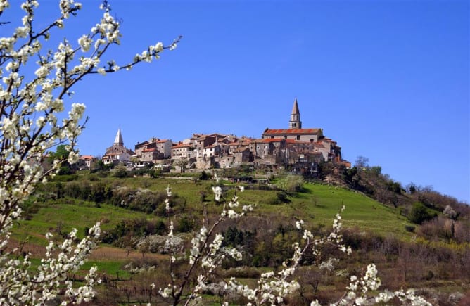 Buje in spring