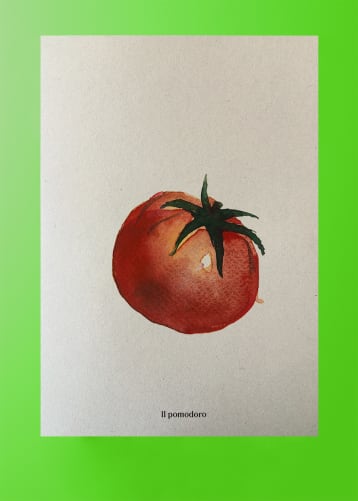 Plakat Tomate (ohne farbigen Rahmen)