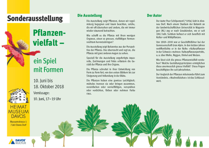 Flyer Ausstellung Davos 1