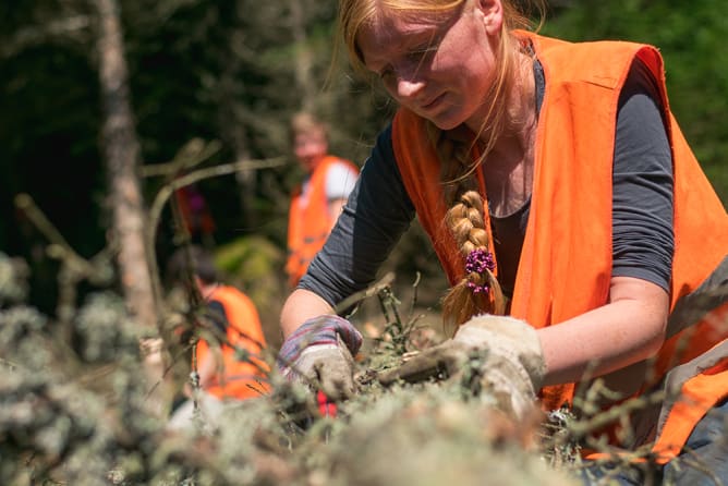 Mit der Schulklasse im Bergwaldprojekt.