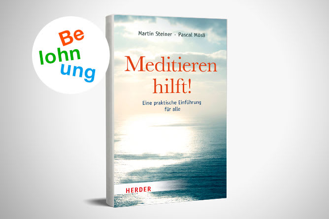 Buch - Meditieren hilft!