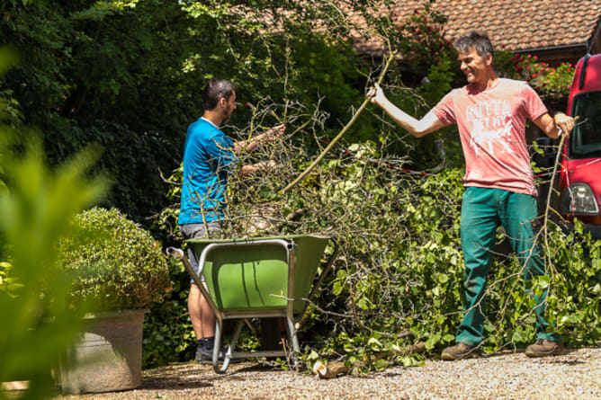 Arbeitsbereich «Park und Garten»