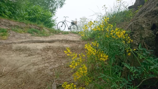 Donau Bikerides