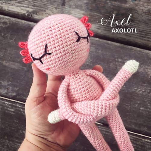 Neues Mitglied bei den NONOs: Axel Axolotl