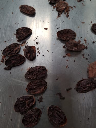 Test on the quality of our beans before roasting