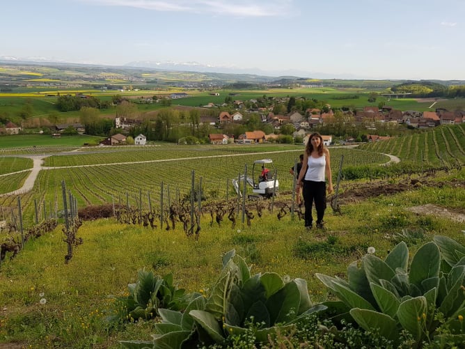 Micro Ferme La Vuardelaz