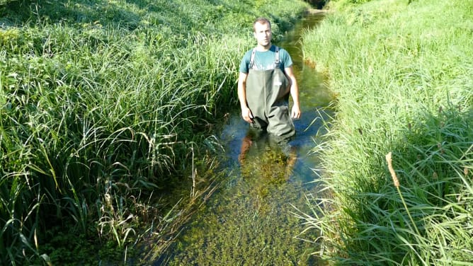 einer der beiden Zuflüsse: herrlich klares Wasser