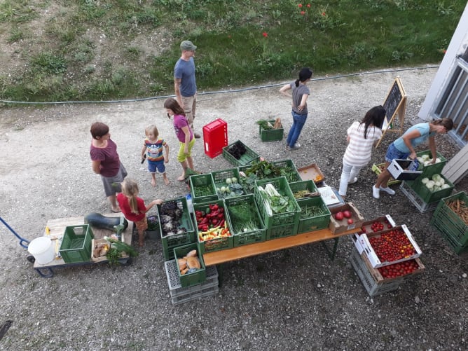 Unsere ErnteteilerInnen