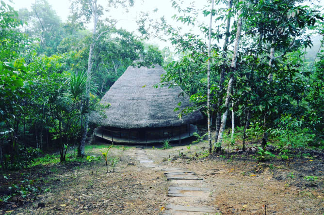 Ein Naturheilzentrum inmitten des Regenwaldes,