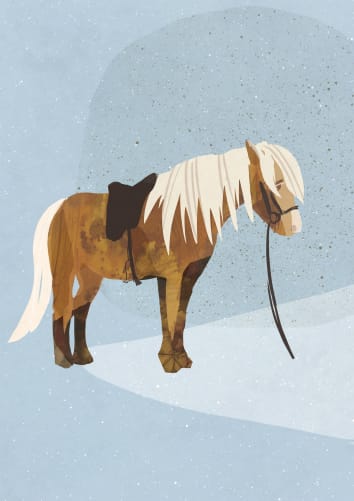 Sketch: Sunna, the Icelandic horse