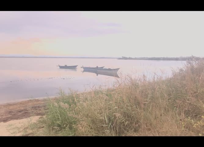Le silences des naufragés