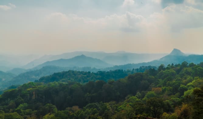 Munnar, Kerala