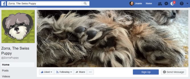 Zorra's Facebook page