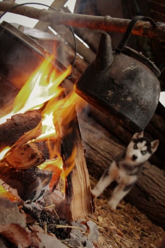 Lagerfeuerküche & Lernen, für sich selbst zu sorgen