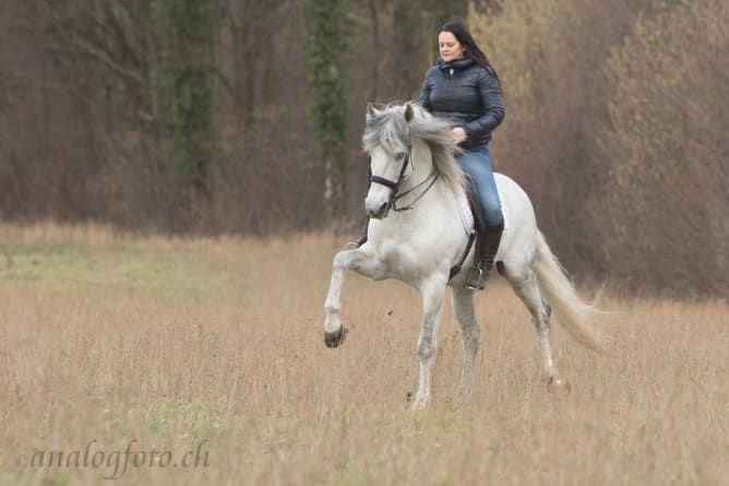 Darsteller Stephanie Mattler, Frau von Arnaud mit Suao