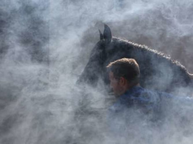 Tierische Hauptdarsteller Pepito rettet Arnaud aus dem Feuer