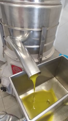 Olive oil