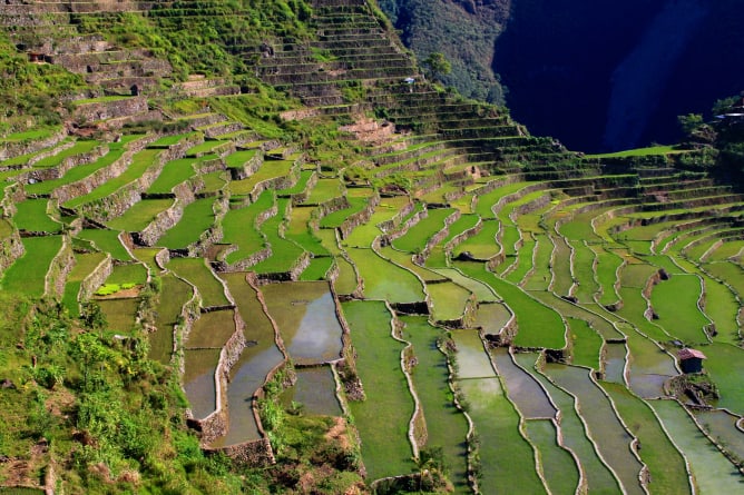 Rizière de Banaue - Philippines