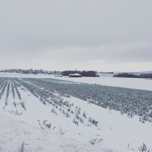 Même sous la neige!