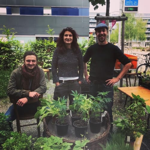 Bio Setzlings-Markt mit unserem GartenTeam mit vielen Tipps und Tricks rund ums Urban Gardening