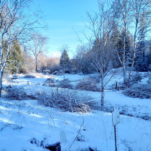 Le Jardin des mineurs en travaux sous la neige