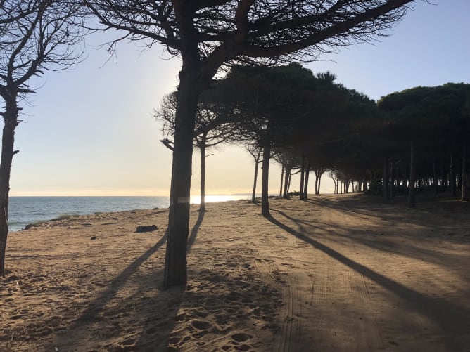 kostenlos Campen direkt am Meer neben einem Restaurant?