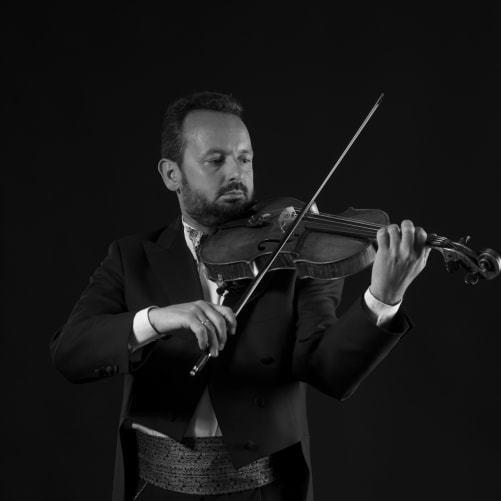 Andreas Eisenhut, Violine