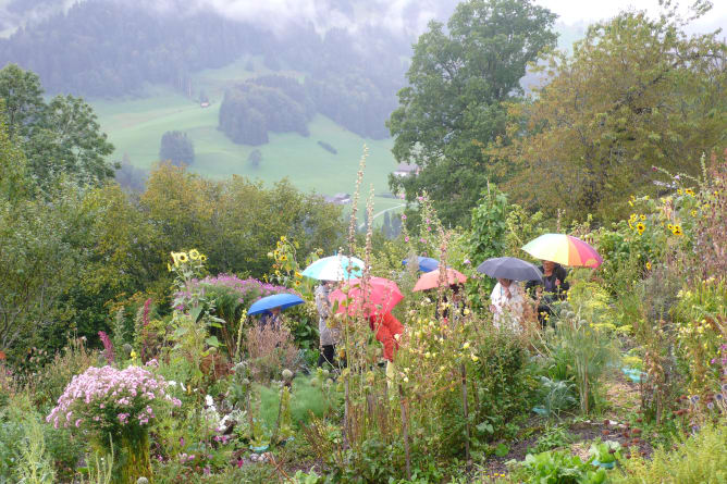 Führung im Paradiesgarten