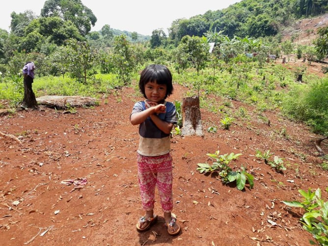 Mondulkiri, 2017