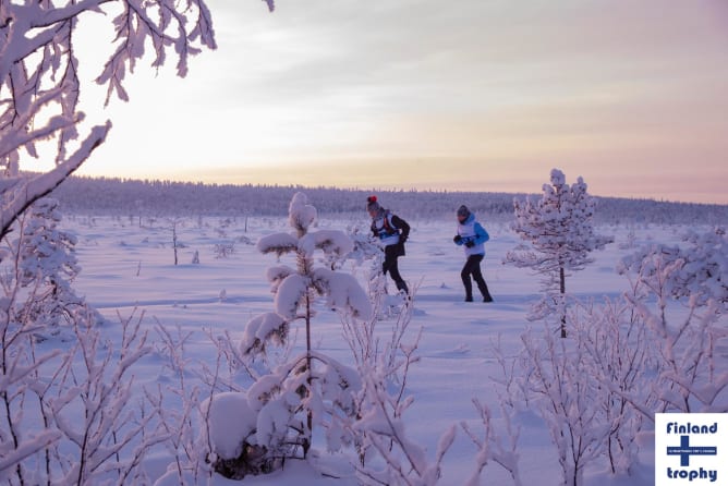 Course à pieds en Laponie