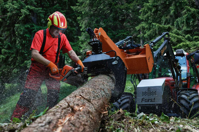 Wald ist Arbeitsplatz 