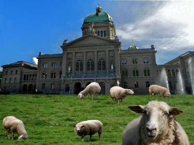 Für eine umweltbewusste Politik ohne parteipolitische Scheuklappen: DU