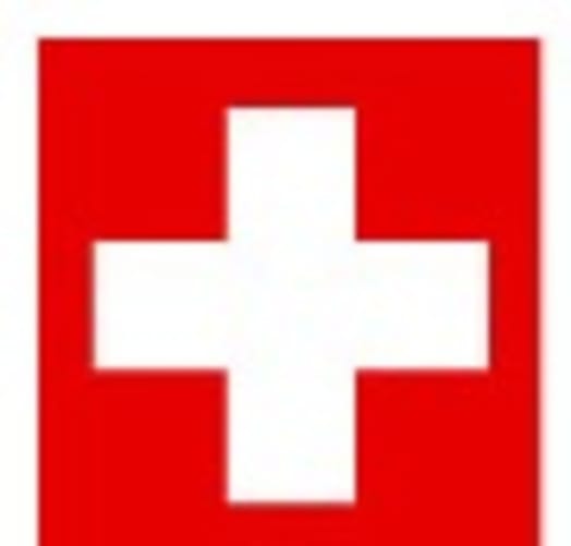 Das Schweizerkreuz im DU- Logo verpflichtet