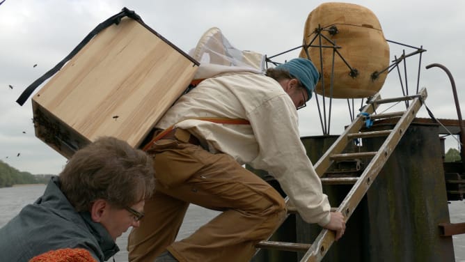 Elbbienen by Anne-Marie Maes, bees in a work of art on the Elbe in Hamburg.