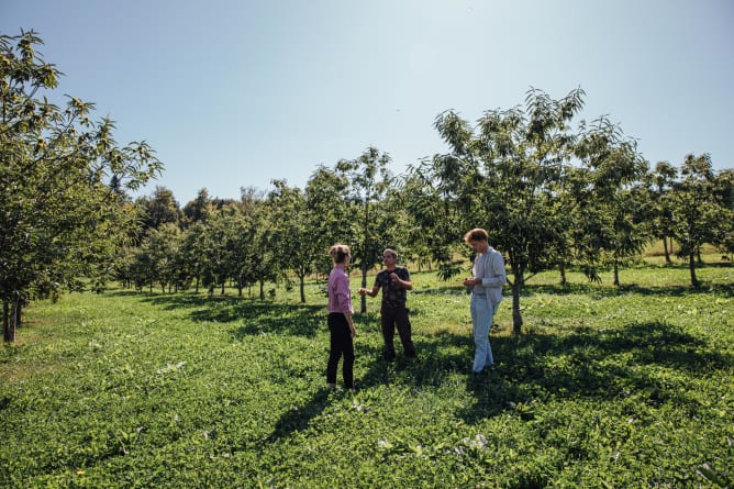 Zu Besuch bei Andreas Gauch auf der Bio-Plantage im Aargau.