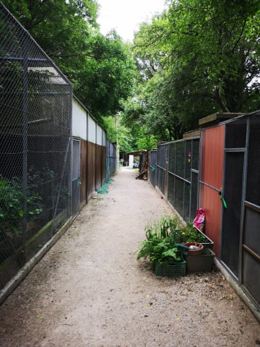 Main alley with access to aviaries